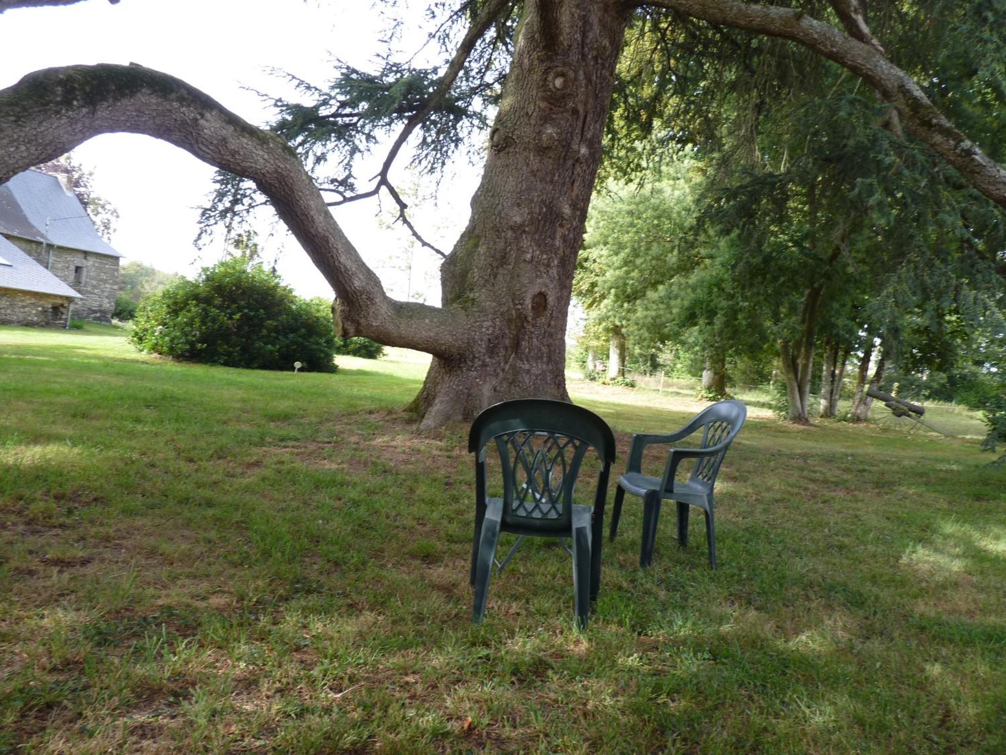Chateau De Craon Comblessac Dış mekan fotoğraf
