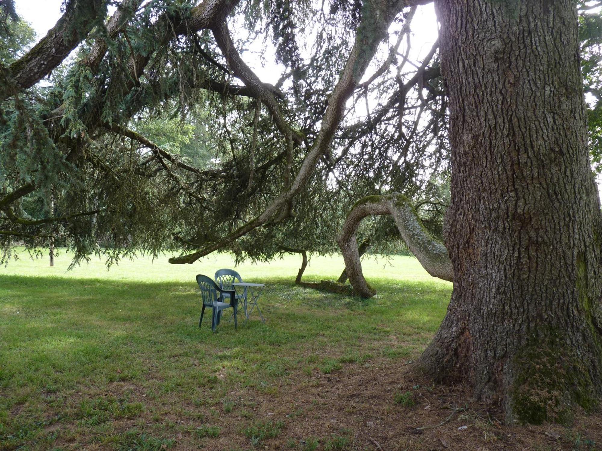 Chateau De Craon Comblessac Dış mekan fotoğraf